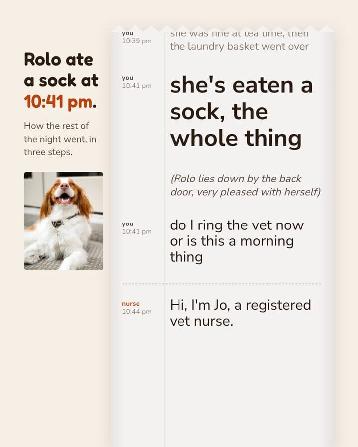 Woofstead, a Kamply sample brand. Carousel slides laid out like a script: a late-night chat between a dog owner and a vet nurse, with a photo of a spaniel and stage directions for the dog in italics
