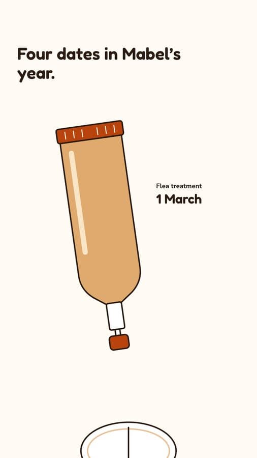 Woofstead, a Kamply sample brand. Four story frames: an illustrated flea treatment tube dated 1 March, a worming tablet, a vaccination record with a calendar page, and a photo of a dog asleep under the reminder offer