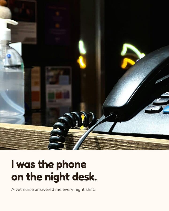 Woofstead, a Kamply sample brand. Three carousel slides told by a desk phone: a corded phone on a dark reception counter at night, a close view of its handset and coiled cord, and the offer to ask a vet nurse from home