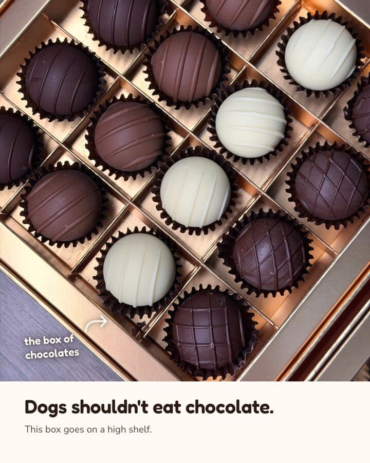Chocolates and daffodils go up high, 2 of 4
