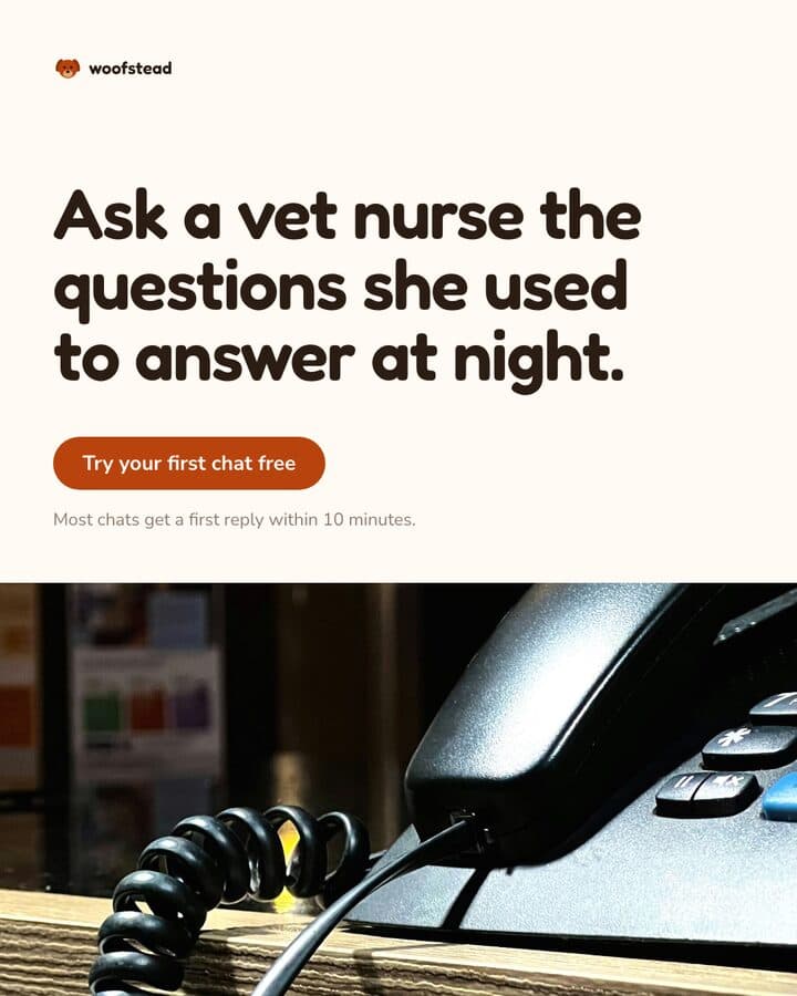 The phone on the night desk, 3 of 3